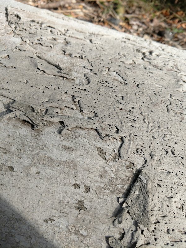 Close-up of failing masonry surface